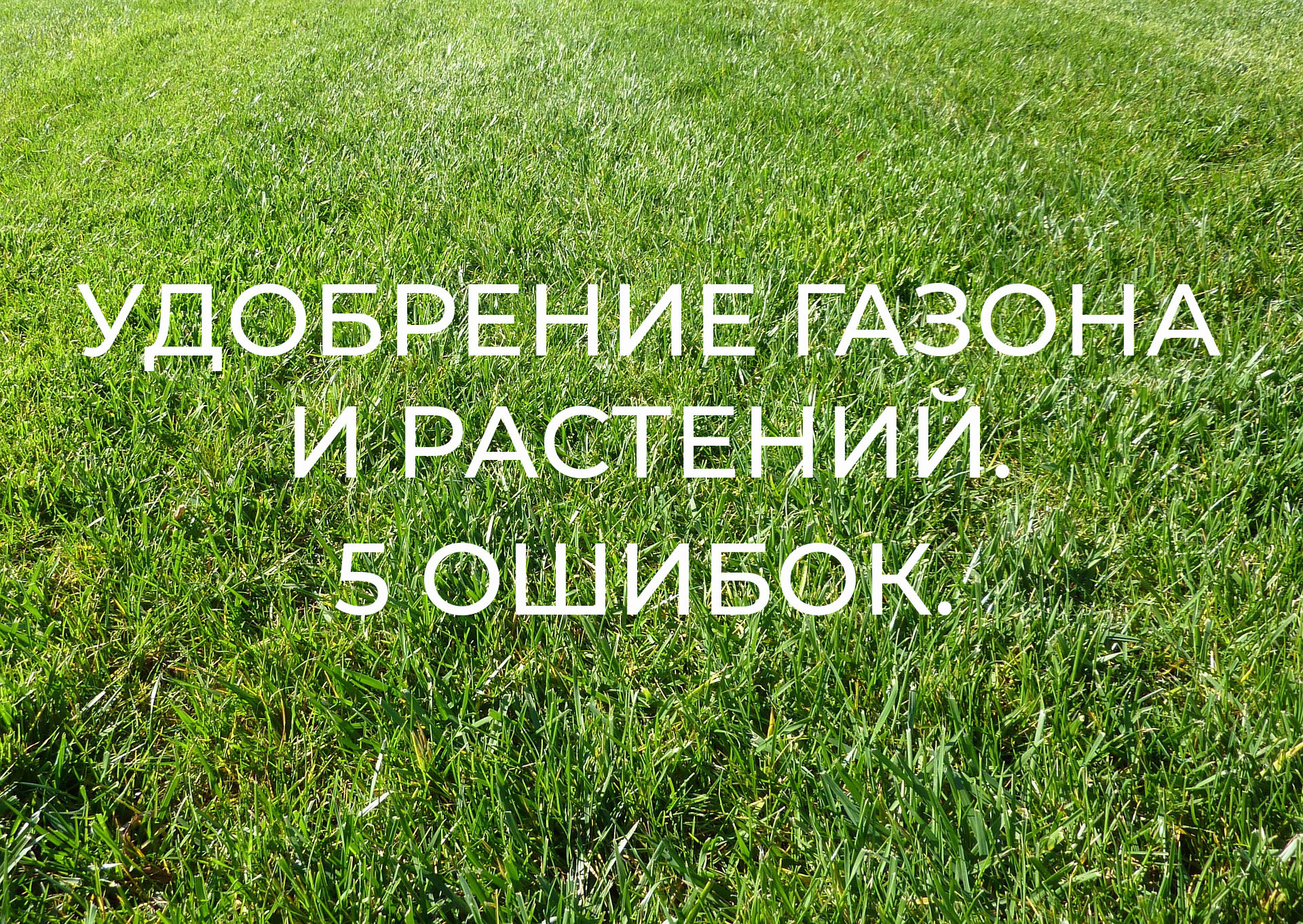 Садовод Интернет Магазин Удобрения
