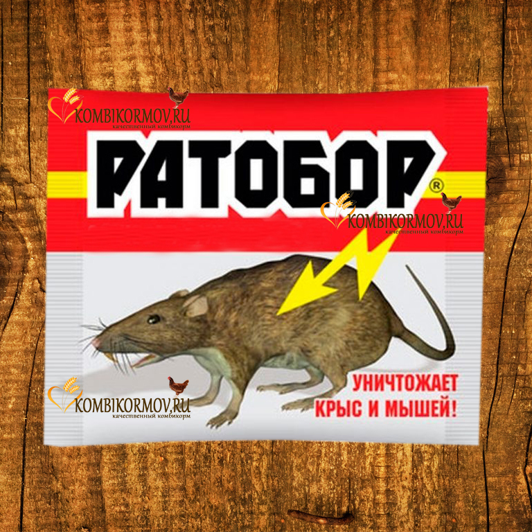 Где Купить Отраву Для Крыс В Новосибирске