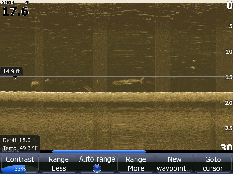 Нижнее сканирование. Изображение с DOWNSCAN. Рыба в Нижнем сканировании. Эхолоты изобаты. Нижнее сканирование на эхолоте.