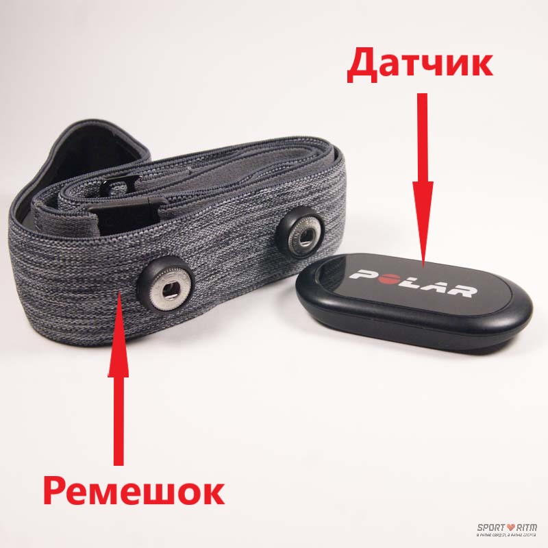 к каким часам можно подключить нагрудный пульсометр. Смотреть фото к каким часам можно подключить нагрудный пульсометр. Смотреть картинку к каким часам можно подключить нагрудный пульсометр. Картинка про к каким часам можно подключить нагрудный пульсометр. Фото к каким часам можно подключить нагрудный пульсометр