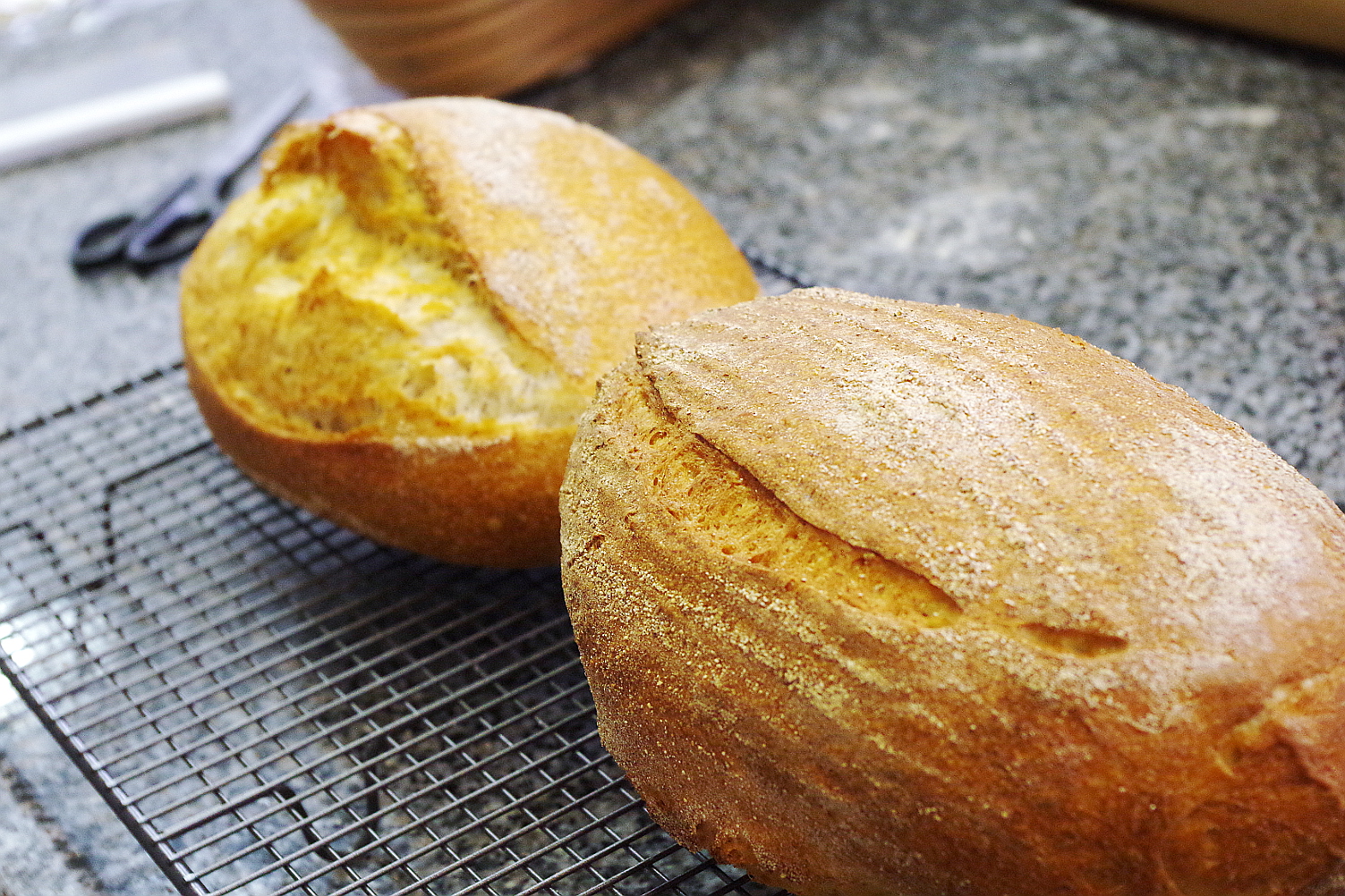 Почему трескается выпечка в духовке. Булка. Хлеб в духовке. Хлебное дрожжевое тесто. Хлеб из дрожжевого теста.