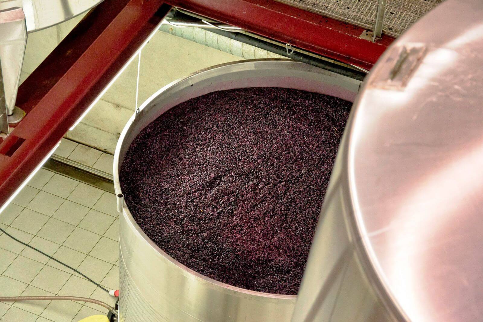 Ферментация вина. Сбраживание сусла. Углекислотная мацерация кофе. Мацерация в виноделии. Виноделие брожение.