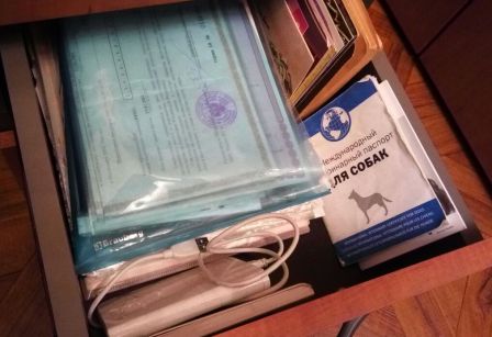 какие документы нужно хранить дома. Смотреть фото какие документы нужно хранить дома. Смотреть картинку какие документы нужно хранить дома. Картинка про какие документы нужно хранить дома. Фото какие документы нужно хранить дома