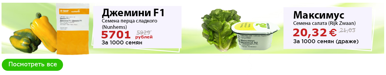 %D0%94%D0%B6%D0%B5%D0%BC%D0%B8%D0%BD%D0%B8 5701 %D0%B7%D0%B0 1000%D1%88%D1%82 %D0%9C%D0%B0%D0%BA%D1%81%D0%B8%D0%BC%D1%83%D1%81 20.32 %D0%B5%D0%B2%D1%80%D0%BE %D0%B7%D0%B0 1000%D1%88%D1%82 f43b4a5e7d75bcef84f5a72d848d4de1 Бэби лиф что это