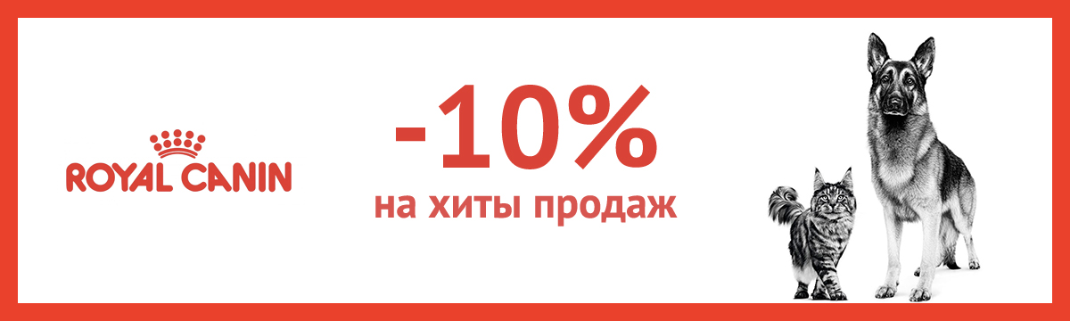 Зоогастроном Интернет Магазин Тольятти
