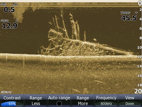 Нижнее сканирование. Изображение дна на эхолоте. Изображение с DOWNSCAN. Эхолот с боковым сканированием рыба. Рыба на структурном эхолоте.