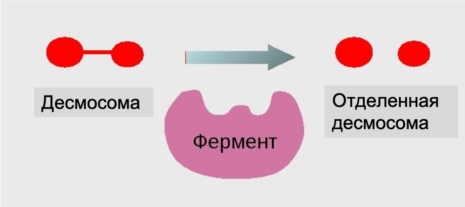 Голден трейс что это. Смотреть фото Голден трейс что это. Смотреть картинку Голден трейс что это. Картинка про Голден трейс что это. Фото Голден трейс что это
