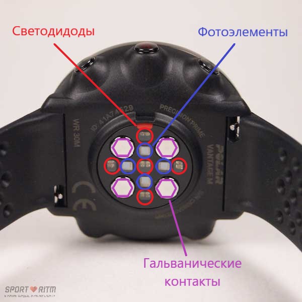 что такое serene в polar. polar vantage m obzor 10. что такое serene в polar фото. что такое serene в polar-polar vantage m obzor 10. картинка что такое serene в polar. картинка polar vantage m obzor 10.