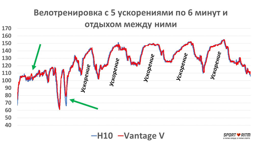 к каким часам можно подключить нагрудный пульсометр. Смотреть фото к каким часам можно подключить нагрудный пульсометр. Смотреть картинку к каким часам можно подключить нагрудный пульсометр. Картинка про к каким часам можно подключить нагрудный пульсометр. Фото к каким часам можно подключить нагрудный пульсометр