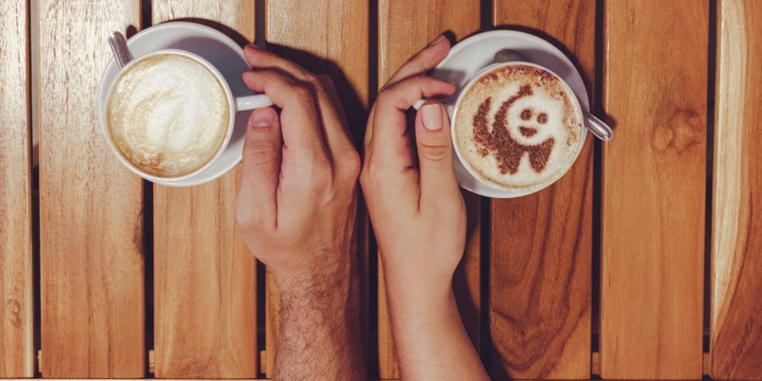 Чистка кофемашины Jura: инструкция, таблетки, средства