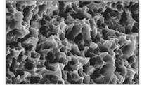 NeoBiotech_поверхность_SLA