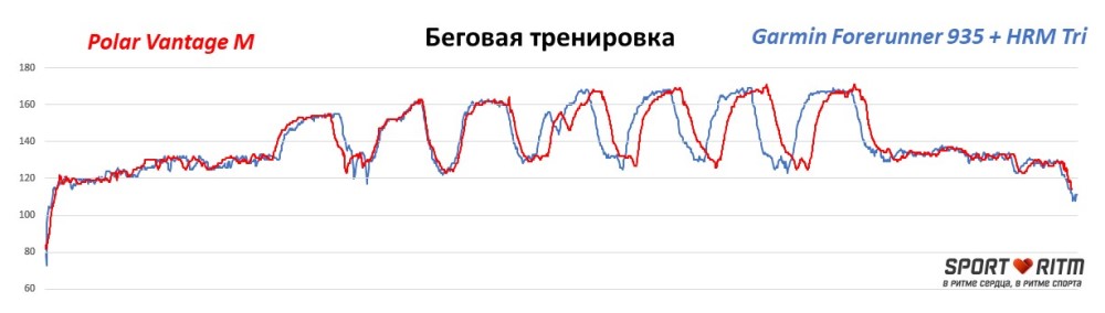 что такое serene в polar. puls polar vantage m 1. что такое serene в polar фото. что такое serene в polar-puls polar vantage m 1. картинка что такое serene в polar. картинка puls polar vantage m 1.