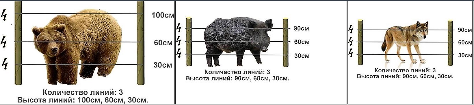 Для чего нужен электропастух. Смотреть фото Для чего нужен электропастух. Смотреть картинку Для чего нужен электропастух. Картинка про Для чего нужен электропастух. Фото Для чего нужен электропастух