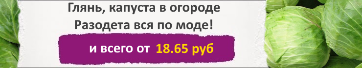 Купить семена Капусты Белокочанной, цена низкая, доставка почтой наложенным платежом по России, курьером по Москве - интернет-магазин АгроБум