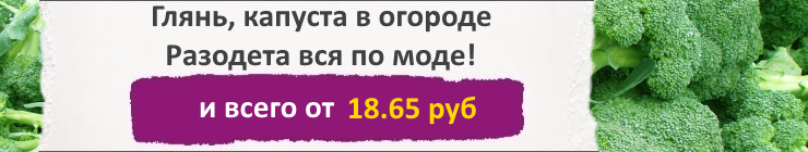 Купить семена капусты Брокколи, цена низкая, доставка почтой наложенным платежом по России, курьером по Москве - интернет-магазин АгроБум