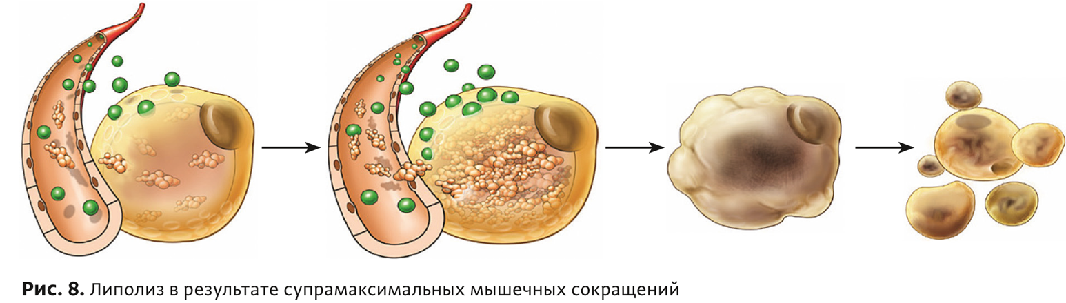 Бтл физиотерапия что это. Смотреть фото Бтл физиотерапия что это. Смотреть картинку Бтл физиотерапия что это. Картинка про Бтл физиотерапия что это. Фото Бтл физиотерапия что это