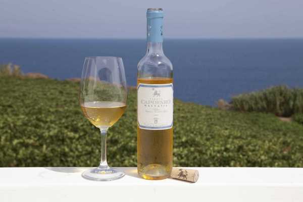 Makarska вино. Сицилийские вина креатив. Винные регионы Сицилии.