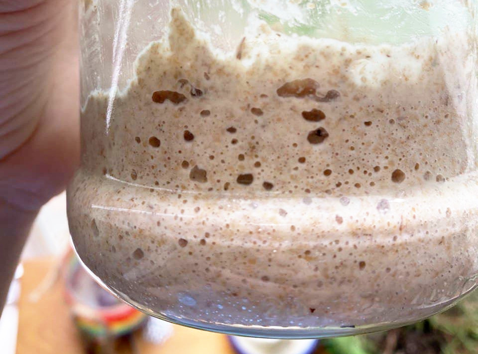 Закваска не поднимается что делать. Смотреть фото Закваска не поднимается что делать. Смотреть картинку Закваска не поднимается что делать. Картинка про Закваска не поднимается что делать. Фото Закваска не поднимается что делать Закваска не поднимается что делать. Смотреть фото Закваска не поднимается что делать. Смотреть картинку Закваска не поднимается что делать. Картинка про Закваска не поднимается что делать. Фото Закваска не поднимается что делать