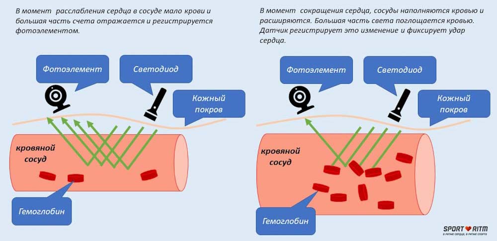 Спорт Пульс Интернет Магазин Официальный Сайт