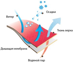 Водонепроницаемость 5000 мм что это значит. membrana 1. Водонепроницаемость 5000 мм что это значит фото. Водонепроницаемость 5000 мм что это значит-membrana 1. картинка Водонепроницаемость 5000 мм что это значит. картинка membrana 1. Если вы любите заниматься спортом зимой, вы знаете, насколько важно оставаться в тепле и сухости во время занятий. Откройте мир водонепроницаемой дышащей ткани, ключ к комфорту в горах. Куртки и брюки с водонепроницаемыми тканями являются первым шагом к тому, чтобы оставаться сухими, чтобы вы могли сосредоточиться на том, чтобы весело провести время, неважно, что погода может сказать об этом. Существует много различных типов водостойких тканей и материалов, которые компании используют для изготовления курток. Продолжайте читать статью, и мы поможем вам понять все, что вам нужно знать, чтобы выбрать подходящую куртку или брюки.