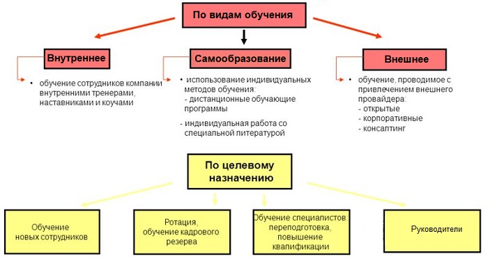 Внутреннее образования. Виды обучения персонала. Виды обучения персонала в организации. Формы корпоративного обучения персонала. Классификация видов обучения персонала.