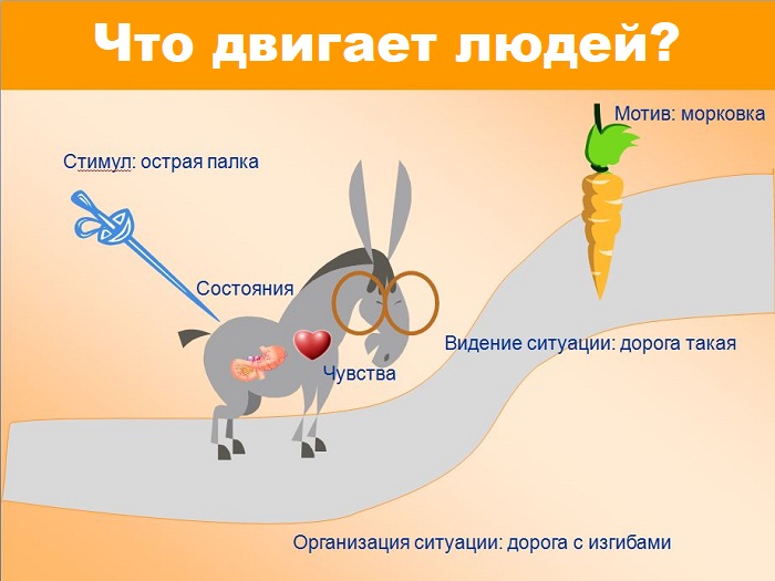 Что значит работать головой. Смотреть фото Что значит работать головой. Смотреть картинку Что значит работать головой. Картинка про Что значит работать головой. Фото Что значит работать головой