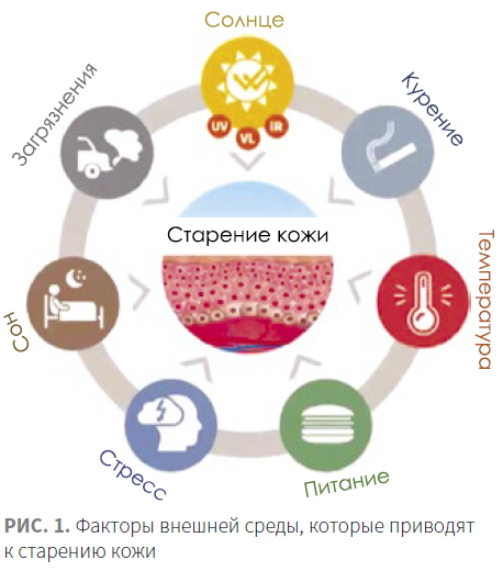 Протеогликаны что это в косметологии