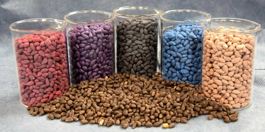 надо ли замачивать окрашенные семена огурцов. Смотреть фото надо ли замачивать окрашенные семена огурцов. Смотреть картинку надо ли замачивать окрашенные семена огурцов. Картинка про надо ли замачивать окрашенные семена огурцов. Фото надо ли замачивать окрашенные семена огурцов надо ли замачивать окрашенные семена огурцов. Смотреть фото надо ли замачивать окрашенные семена огурцов. Смотреть картинку надо ли замачивать окрашенные семена огурцов. Картинка про надо ли замачивать окрашенные семена огурцов. Фото надо ли замачивать окрашенные семена огурцов