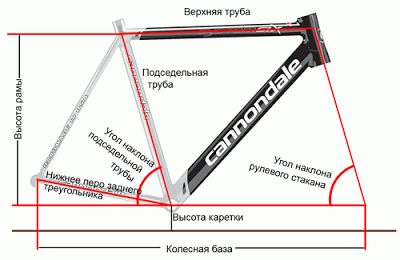 что делать если затекает спина на велосипеде. Смотреть фото что делать если затекает спина на велосипеде. Смотреть картинку что делать если затекает спина на велосипеде. Картинка про что делать если затекает спина на велосипеде. Фото что делать если затекает спина на велосипеде