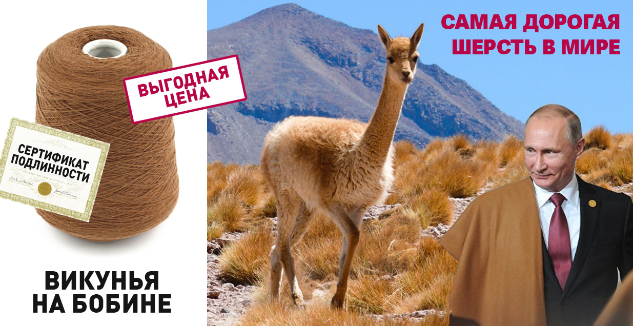 Постеры четвертый слайд