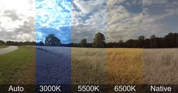 protune gopro что это. Смотреть фото protune gopro что это. Смотреть картинку protune gopro что это. Картинка про protune gopro что это. Фото protune gopro что это