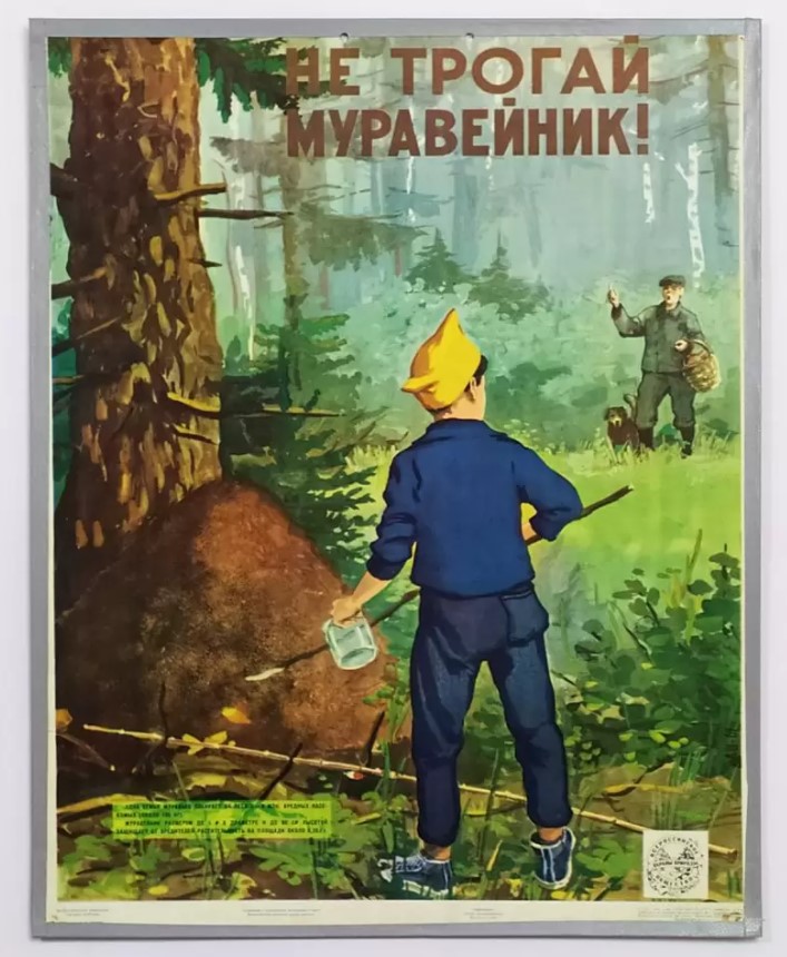 Если разорить муравейник что будет. Смотреть фото Если разорить муравейник что будет. Смотреть картинку Если разорить муравейник что будет. Картинка про Если разорить муравейник что будет. Фото Если разорить муравейник что будет