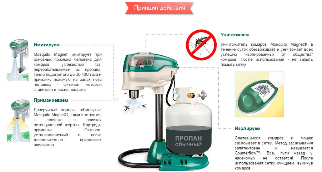 princip_deystviya_magnet.jpg