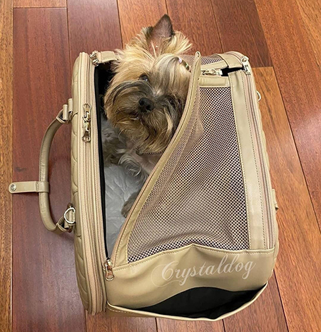 сумка для собаки в самолет
