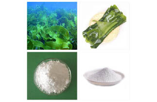 альгинатные маски для лица обучение. Смотреть фото альгинатные маски для лица обучение. Смотреть картинку альгинатные маски для лица обучение. Картинка про альгинатные маски для лица обучение. Фото альгинатные маски для лица обучение альгинатные маски для лица обучение. Смотреть фото альгинатные маски для лица обучение. Смотреть картинку альгинатные маски для лица обучение. Картинка про альгинатные маски для лица обучение. Фото альгинатные маски для лица обучение