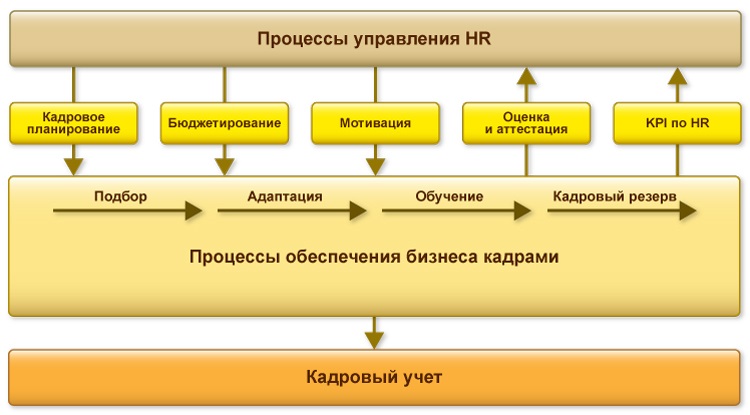 1с управление персоналом цвет отчета