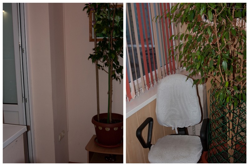 можно ли чемодан хранить на балконе зимой. Смотреть фото можно ли чемодан хранить на балконе зимой. Смотреть картинку можно ли чемодан хранить на балконе зимой. Картинка про можно ли чемодан хранить на балконе зимой. Фото можно ли чемодан хранить на балконе зимой можно ли чемодан хранить на балконе зимой. Смотреть фото можно ли чемодан хранить на балконе зимой. Смотреть картинку можно ли чемодан хранить на балконе зимой. Картинка про можно ли чемодан хранить на балконе зимой. Фото можно ли чемодан хранить на балконе зимой