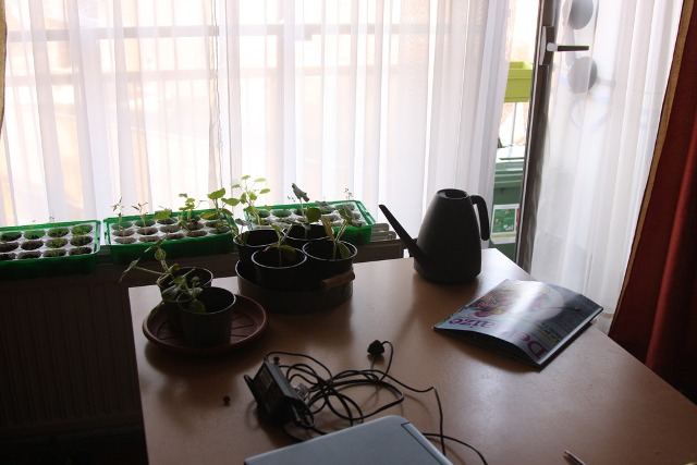 можно ли чемодан хранить на балконе зимой. Смотреть фото можно ли чемодан хранить на балконе зимой. Смотреть картинку можно ли чемодан хранить на балконе зимой. Картинка про можно ли чемодан хранить на балконе зимой. Фото можно ли чемодан хранить на балконе зимой можно ли чемодан хранить на балконе зимой. Смотреть фото можно ли чемодан хранить на балконе зимой. Смотреть картинку можно ли чемодан хранить на балконе зимой. Картинка про можно ли чемодан хранить на балконе зимой. Фото можно ли чемодан хранить на балконе зимой