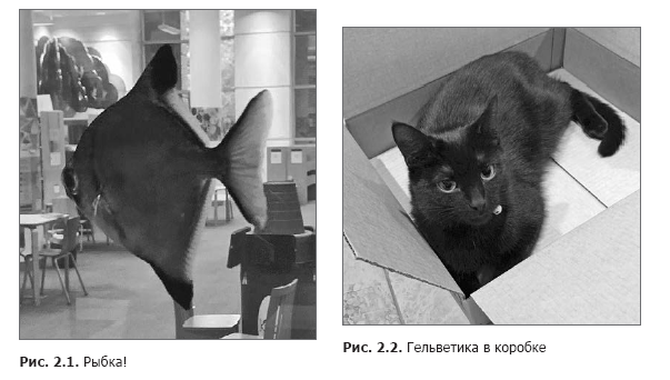 программируем с pytorch создание приложений глубокого обучения pdf. PT1. программируем с pytorch создание приложений глубокого обучения pdf фото. программируем с pytorch создание приложений глубокого обучения pdf-PT1. картинка программируем с pytorch создание приложений глубокого обучения pdf. картинка PT1. программируем с pytorch создание приложений глубокого обучения pdf. PT1. программируем с pytorch создание приложений глубокого обучения pdf фото. программируем с pytorch создание приложений глубокого обучения pdf-PT1. картинка программируем с pytorch создание приложений глубокого обучения pdf. картинка PT1.