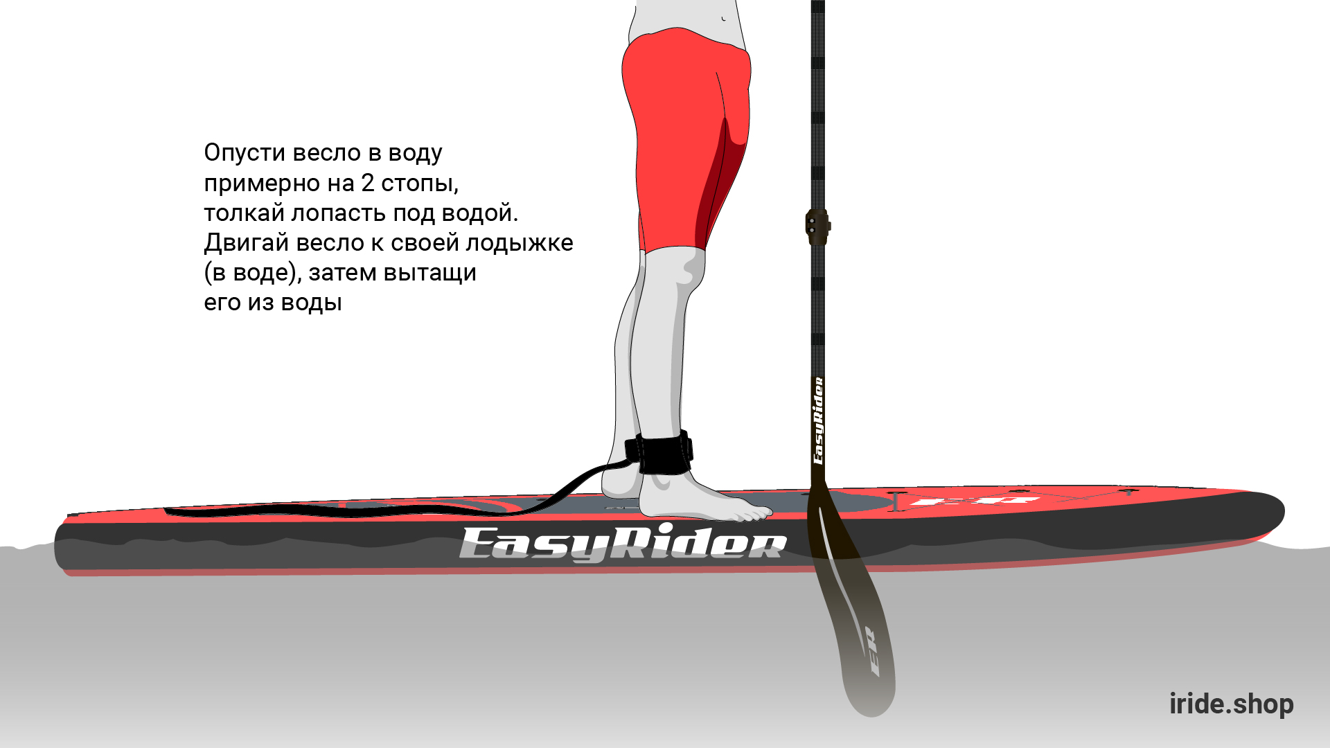 sup бординг что это такое. Смотреть фото sup бординг что это такое. Смотреть картинку sup бординг что это такое. Картинка про sup бординг что это такое. Фото sup бординг что это такое