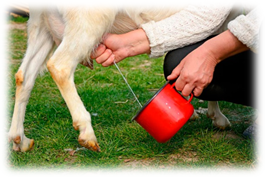 лучшие сепараторы для козьего молока. Смотреть фото лучшие сепараторы для козьего молока. Смотреть картинку лучшие сепараторы для козьего молока. Картинка про лучшие сепараторы для козьего молока. Фото лучшие сепараторы для козьего молока лучшие сепараторы для козьего молока. Смотреть фото лучшие сепараторы для козьего молока. Смотреть картинку лучшие сепараторы для козьего молока. Картинка про лучшие сепараторы для козьего молока. Фото лучшие сепараторы для козьего молока