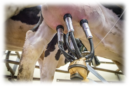 лучшие сепараторы для козьего молока. Смотреть фото лучшие сепараторы для козьего молока. Смотреть картинку лучшие сепараторы для козьего молока. Картинка про лучшие сепараторы для козьего молока. Фото лучшие сепараторы для козьего молока лучшие сепараторы для козьего молока. Смотреть фото лучшие сепараторы для козьего молока. Смотреть картинку лучшие сепараторы для козьего молока. Картинка про лучшие сепараторы для козьего молока. Фото лучшие сепараторы для козьего молока