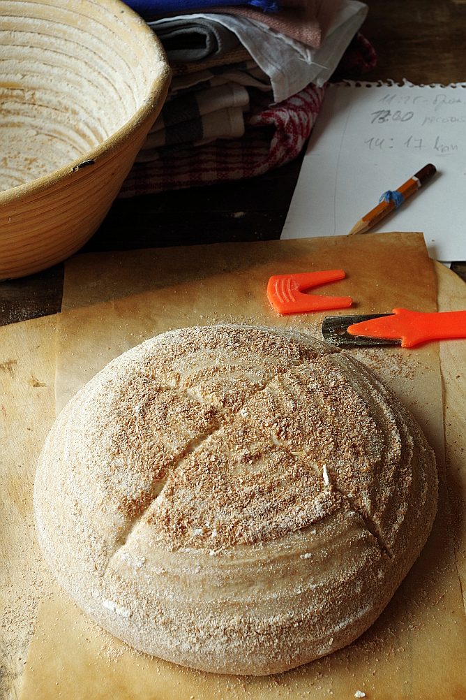 Хлеб пулиш рецепт. Опара для хлеба на закваске. Бига для хлеба. Бига тесто. Опара для хлеба на сухих дрожжах.