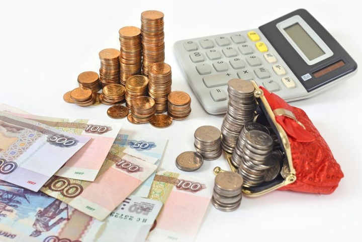 коды оквэд для зоомагазина