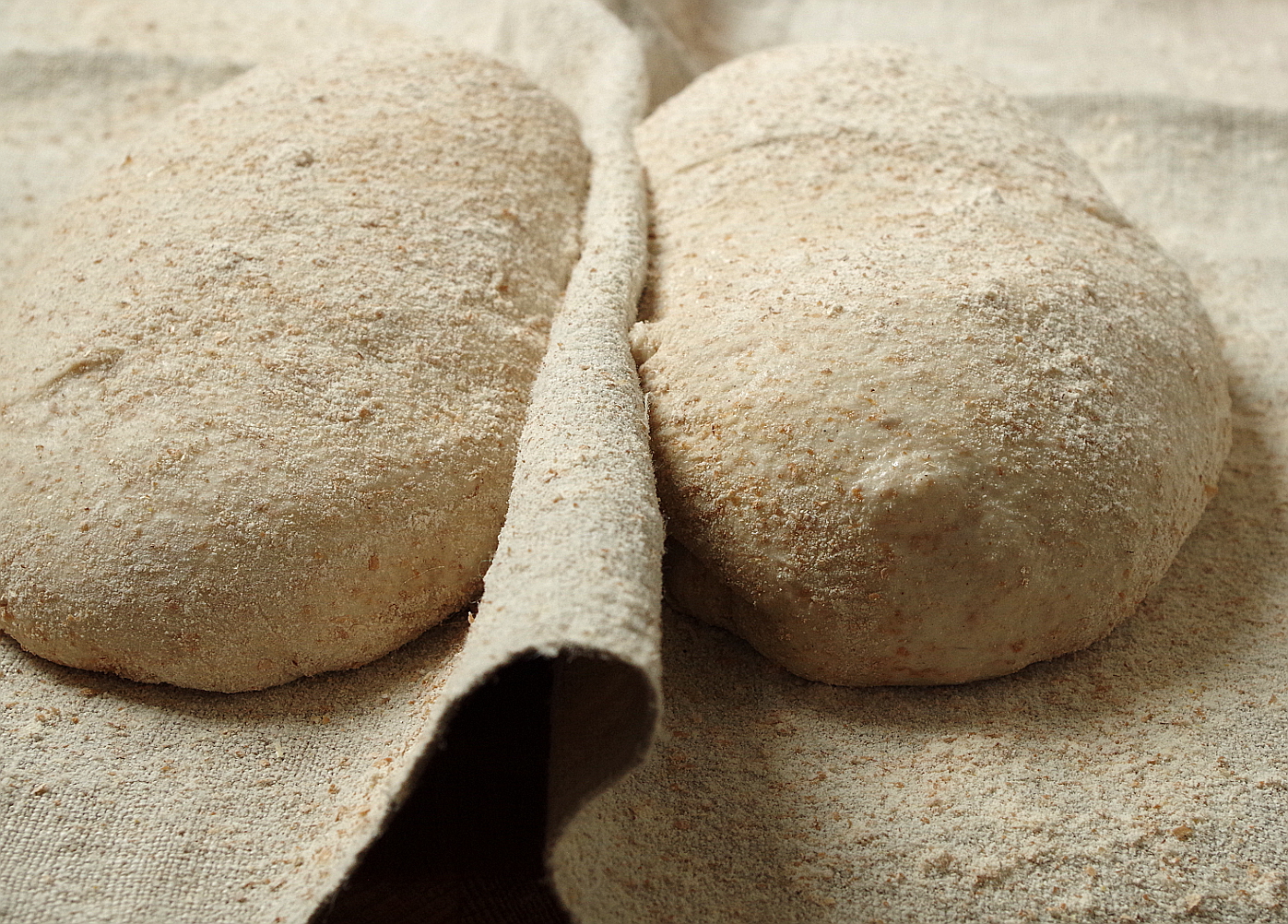 Закваска для хлеба на картофеле. Картофельная закваска для хлеба. Картофельная закваска для хлеба. Закваска. Фото закваски для хлеба в производстве.