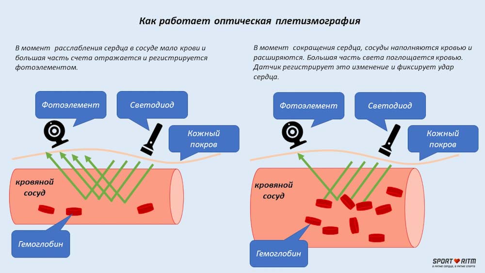 нагрудный пульсометр для чего нужен. Смотреть фото нагрудный пульсометр для чего нужен. Смотреть картинку нагрудный пульсометр для чего нужен. Картинка про нагрудный пульсометр для чего нужен. Фото нагрудный пульсометр для чего нужен