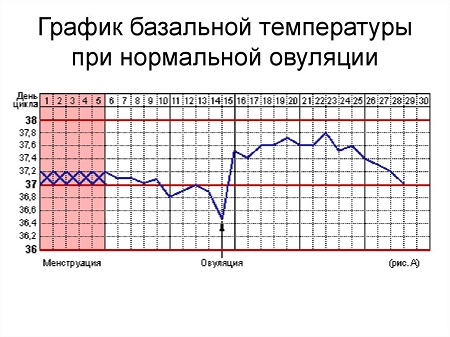 Для чего нужны месячные девушкам. Смотреть фото Для чего нужны месячные девушкам. Смотреть картинку Для чего нужны месячные девушкам. Картинка про Для чего нужны месячные девушкам. Фото Для чего нужны месячные девушкам
