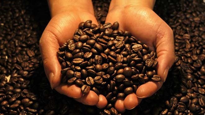 фото сбалансированного зернового кофе