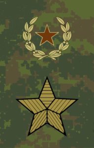 как узнать какие войска по форме