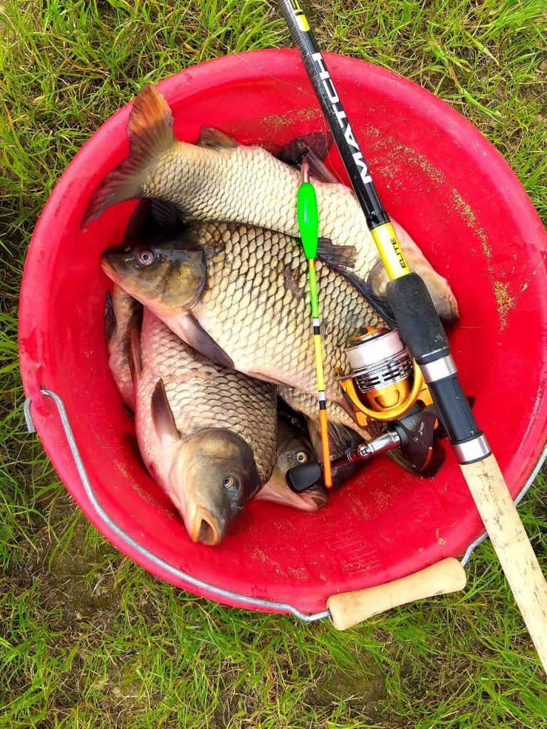 Salmo Elite Match 15 4.5 м (6).jpg Salmo Elite Match 15 4.5 м (6).jpg